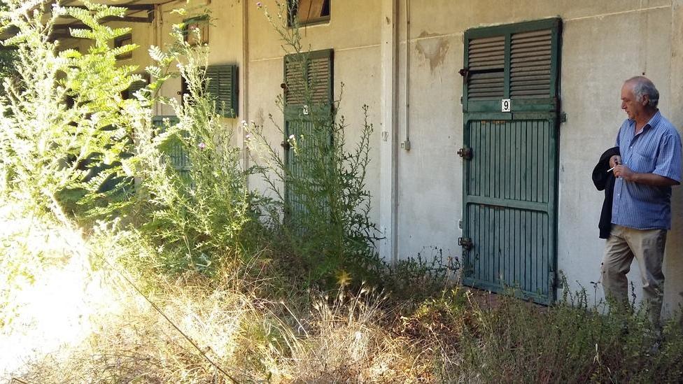 Le scuderie vendono i cavalli e se ne vanno: capolinea ippodromo Caprilli tra letame e furti