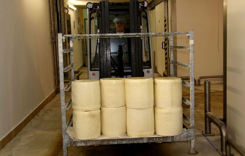Latte ovino, 17 milioni per le aziende 