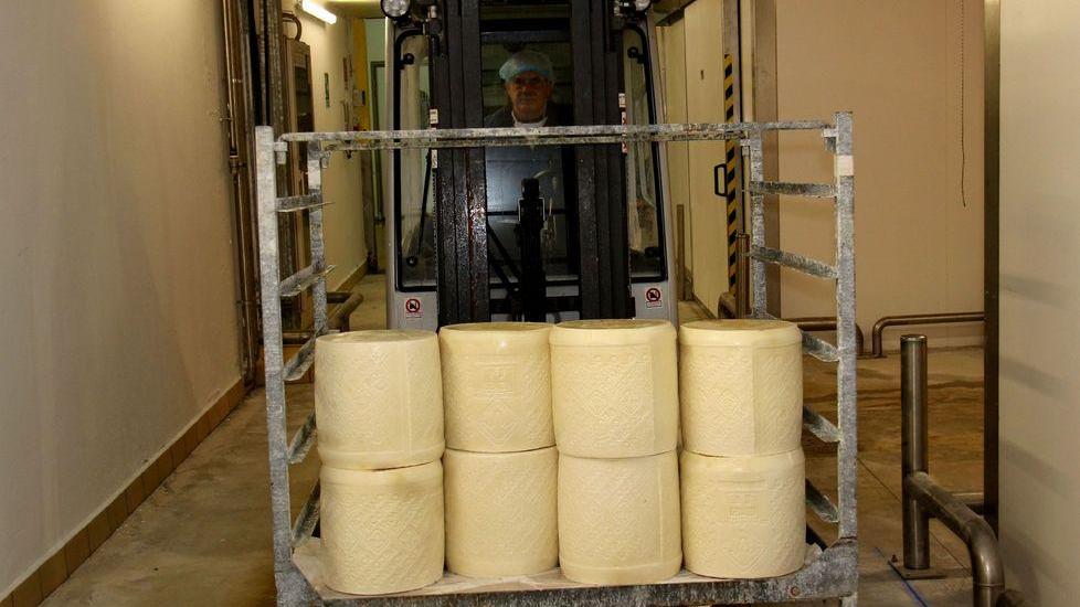 Latte ovino, 17 milioni per le aziende