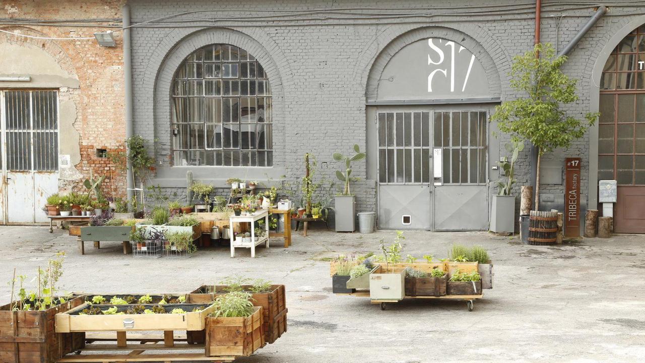Gli orti realizzati in via Genova