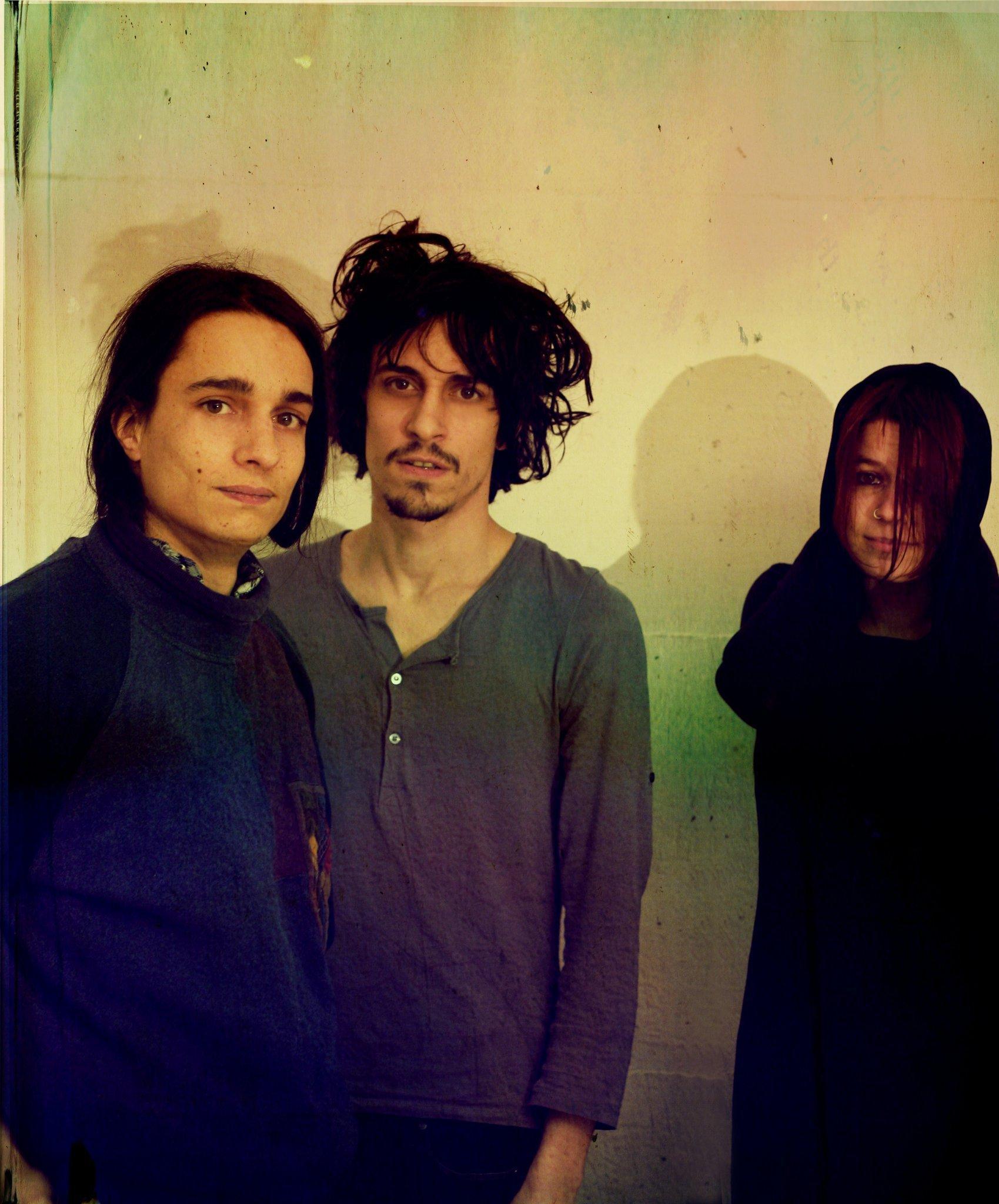 La band dei Verdena
