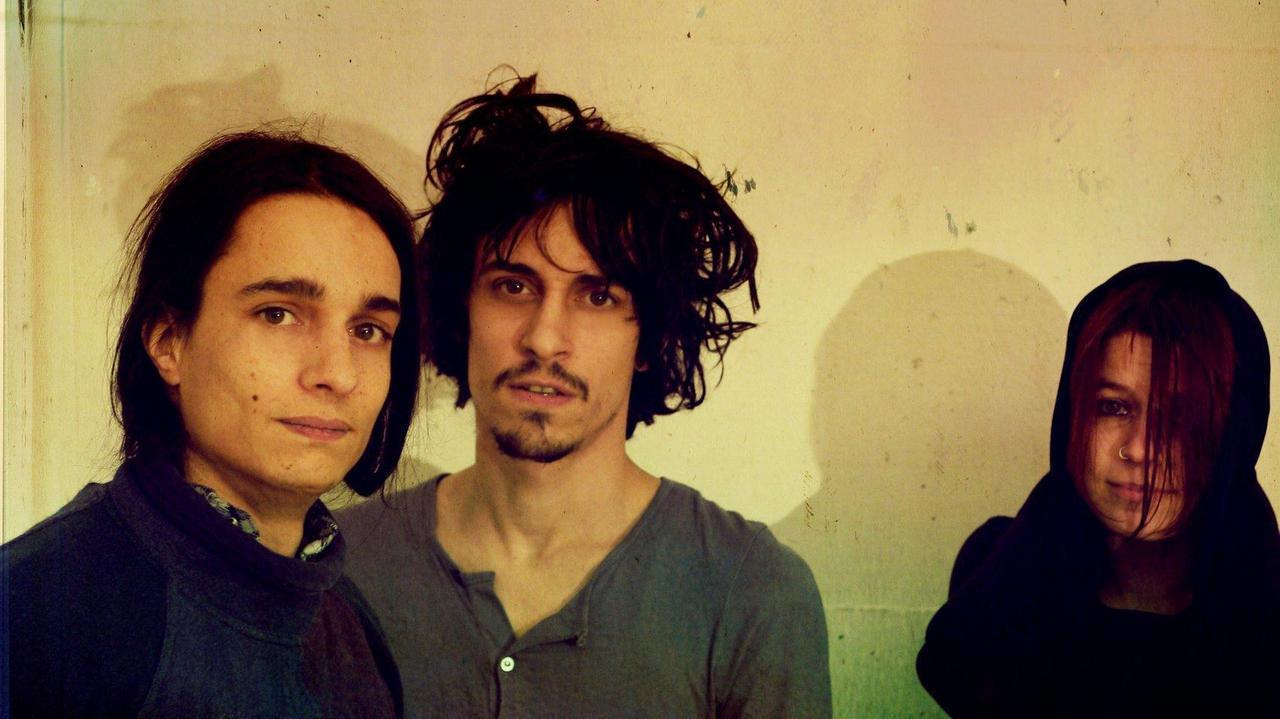 La band dei Verdena