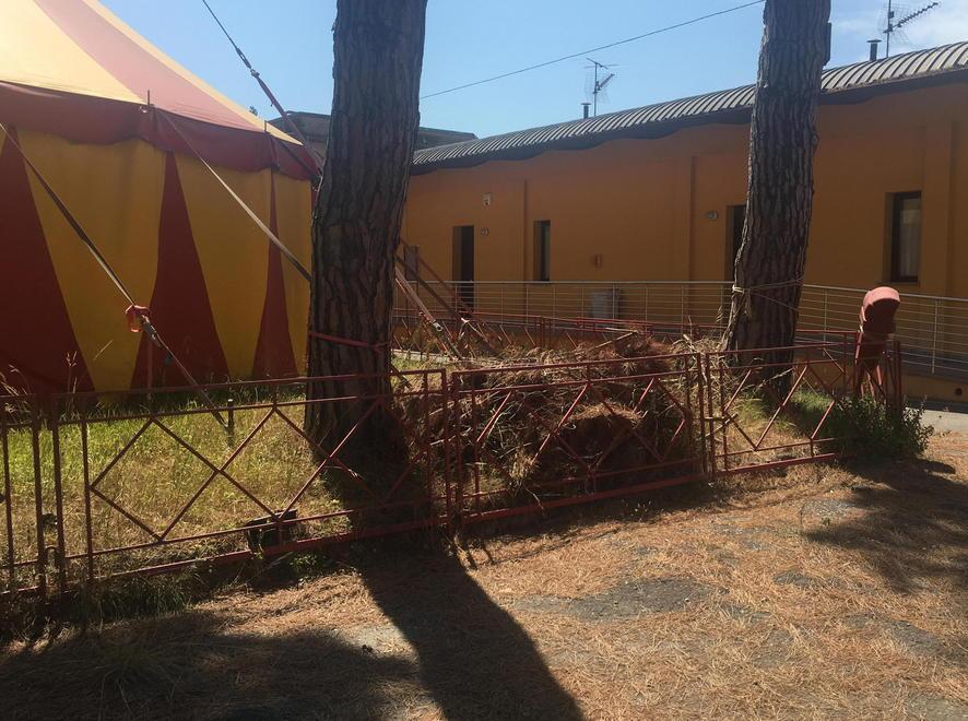 L’assessore: teatro ostaggio del degrado 