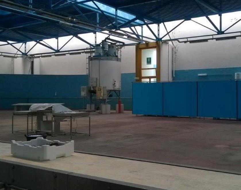 Mercato ittico, l’Asl intima la messa in regola 