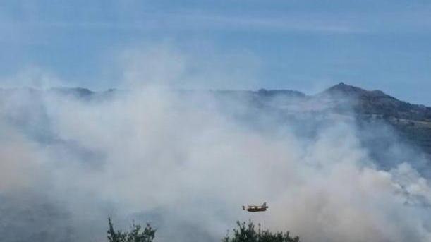 Ettari di bosco divorati sull’Amiata