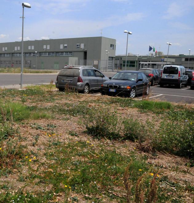 I boss di Massama in viaggio verso casa 
