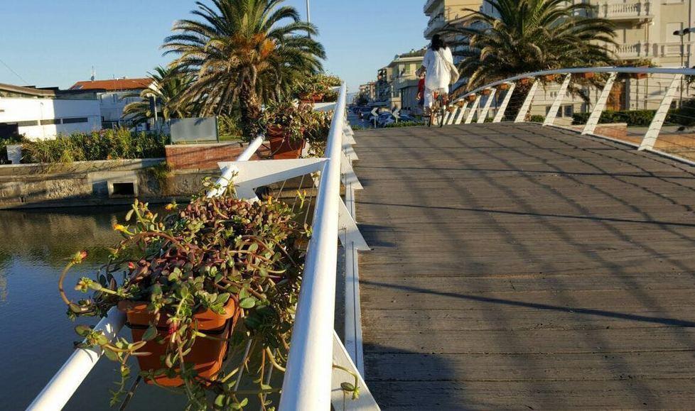Arrivano i fiori sulla Fossa dell’Abate