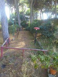 Promessa mantenuta È stato ripulito il minigolf in pineta 