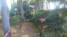 Promessa mantenuta È stato ripulito il minigolf in pineta