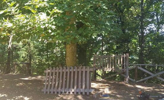 Arcidosso, restyling al parco del tennis 