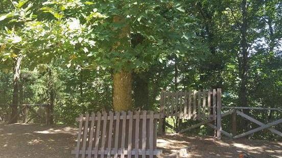 Arcidosso, restyling al parco del tennis