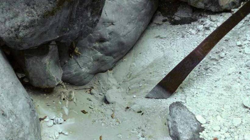 Grossi: marmettola anche in altri corsi d’acqua