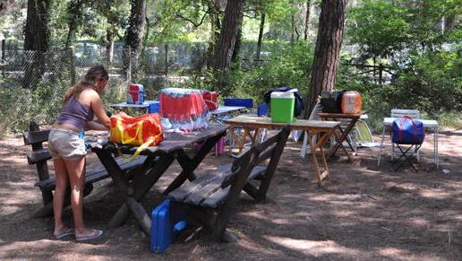 Gli “abusivi” del pic-nic si fanno spazio in pineta 
