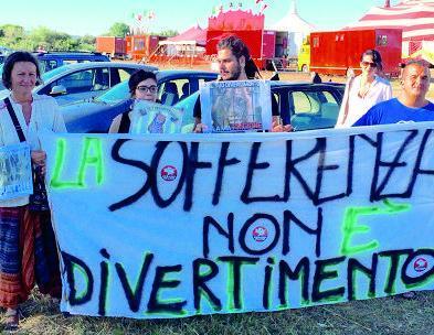 Sit-in contro gli animali nei circhi