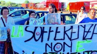 Sit-in contro gli animali nei circhi