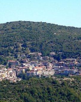 Atto intimidatorio a Seui, danneggiata la vigna dell’assessore comunale 