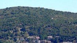 Atto intimidatorio a Seui, danneggiata la vigna dell’assessore comunale
