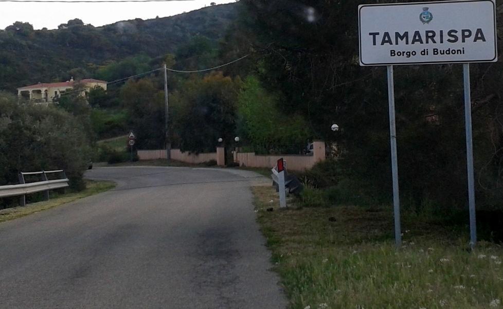 Gatta uccisa, l’Enpa parte civile 