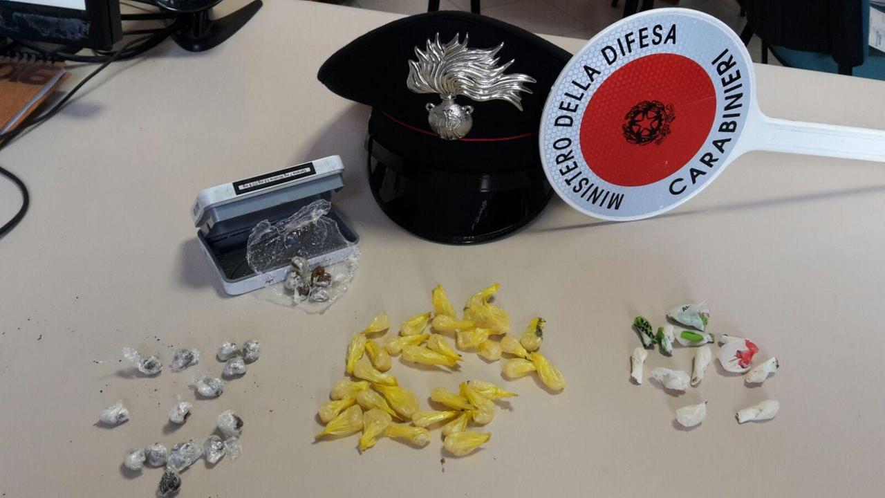 La droga sequestrata all'uomo condannato a un anno e mezzo di carcere