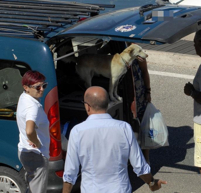 Cane chiuso in auto, maxi mobilitazione al Porto di Scarlino 