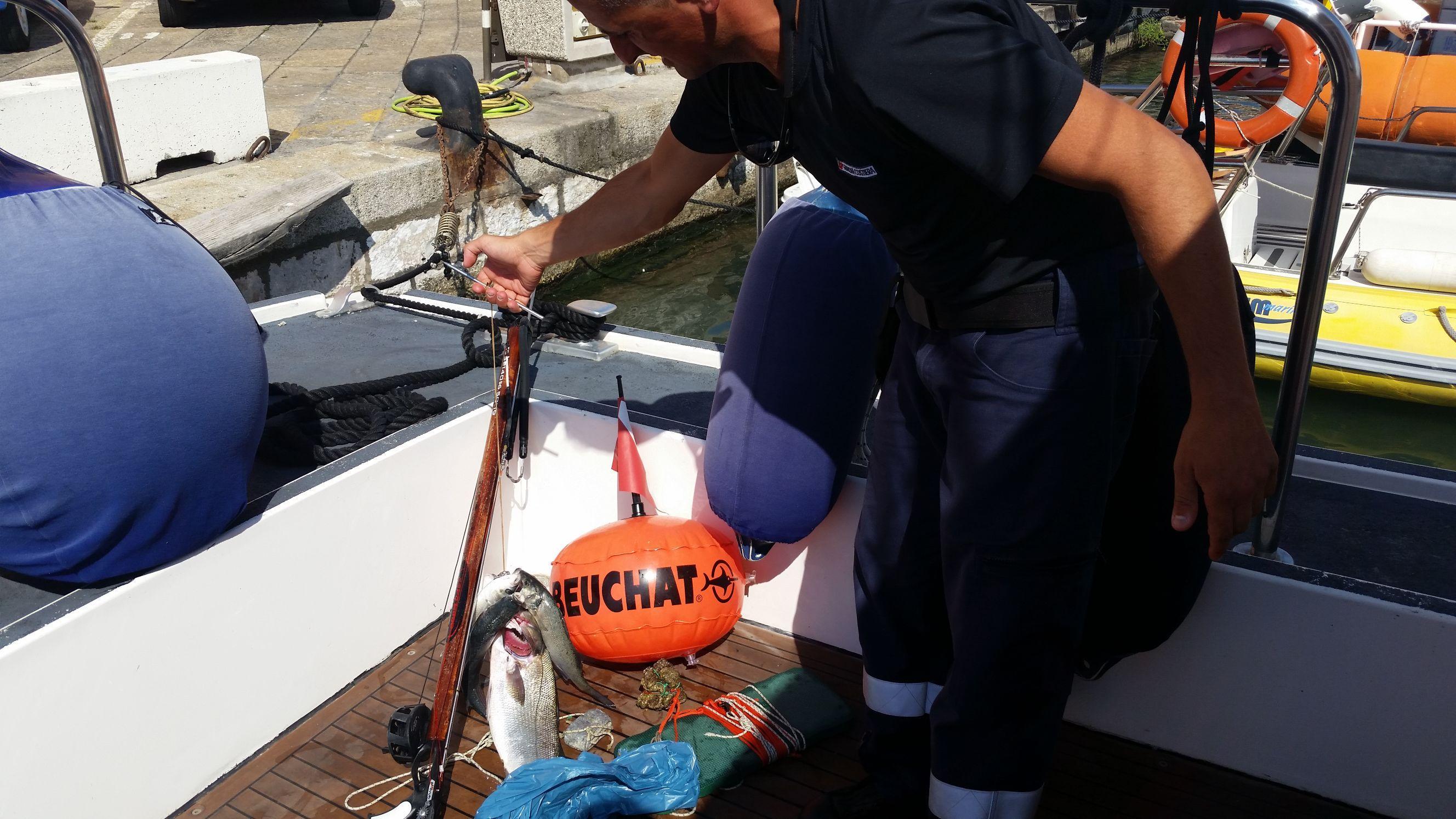 Il pesce sequestrato dalla Capitaneria 