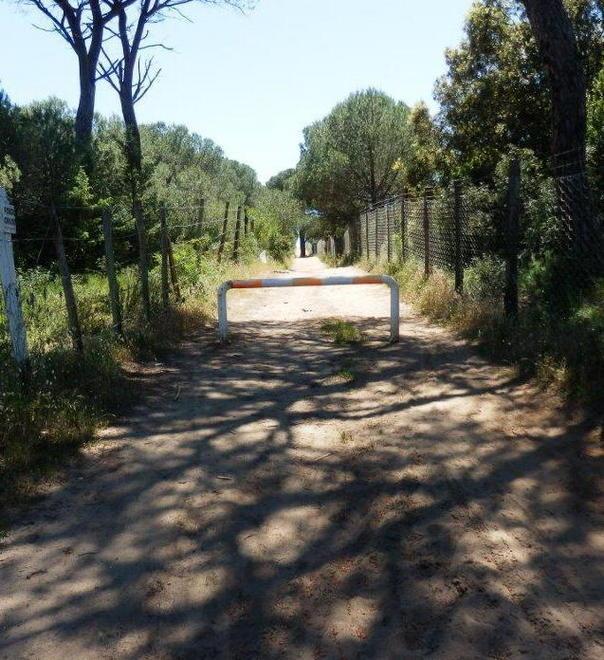 Sanzioni al chilometro 28 «Qui non tornerò mai più» 