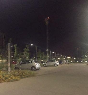 Parco centrale, arrivano i dissuasori 