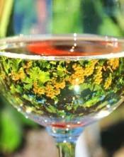 Nozzinnà della cantina Li Duni di Badesi Vermentino perfetto per pesce e formaggi