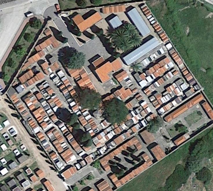 Squadra di operai-acrobati per abbattere gli alberi 