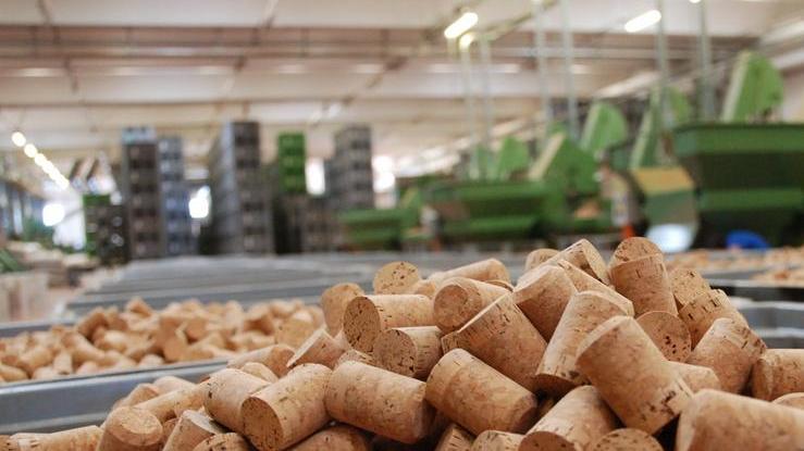 Filiera del legno: nasce il gruppo di lavoro del sughero