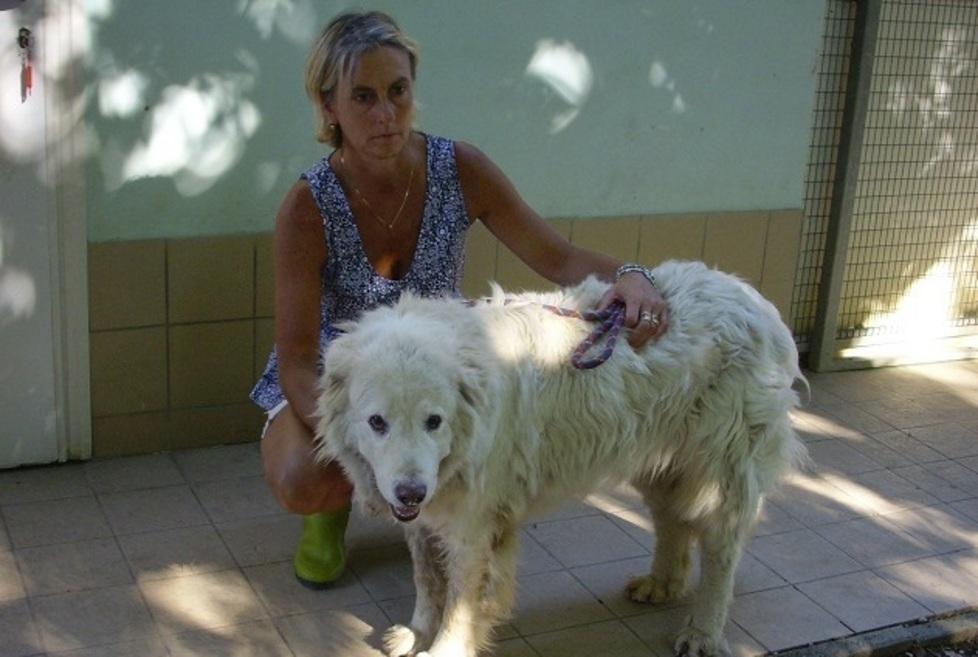 Cocomerata al canile cercando la famiglia di Bella