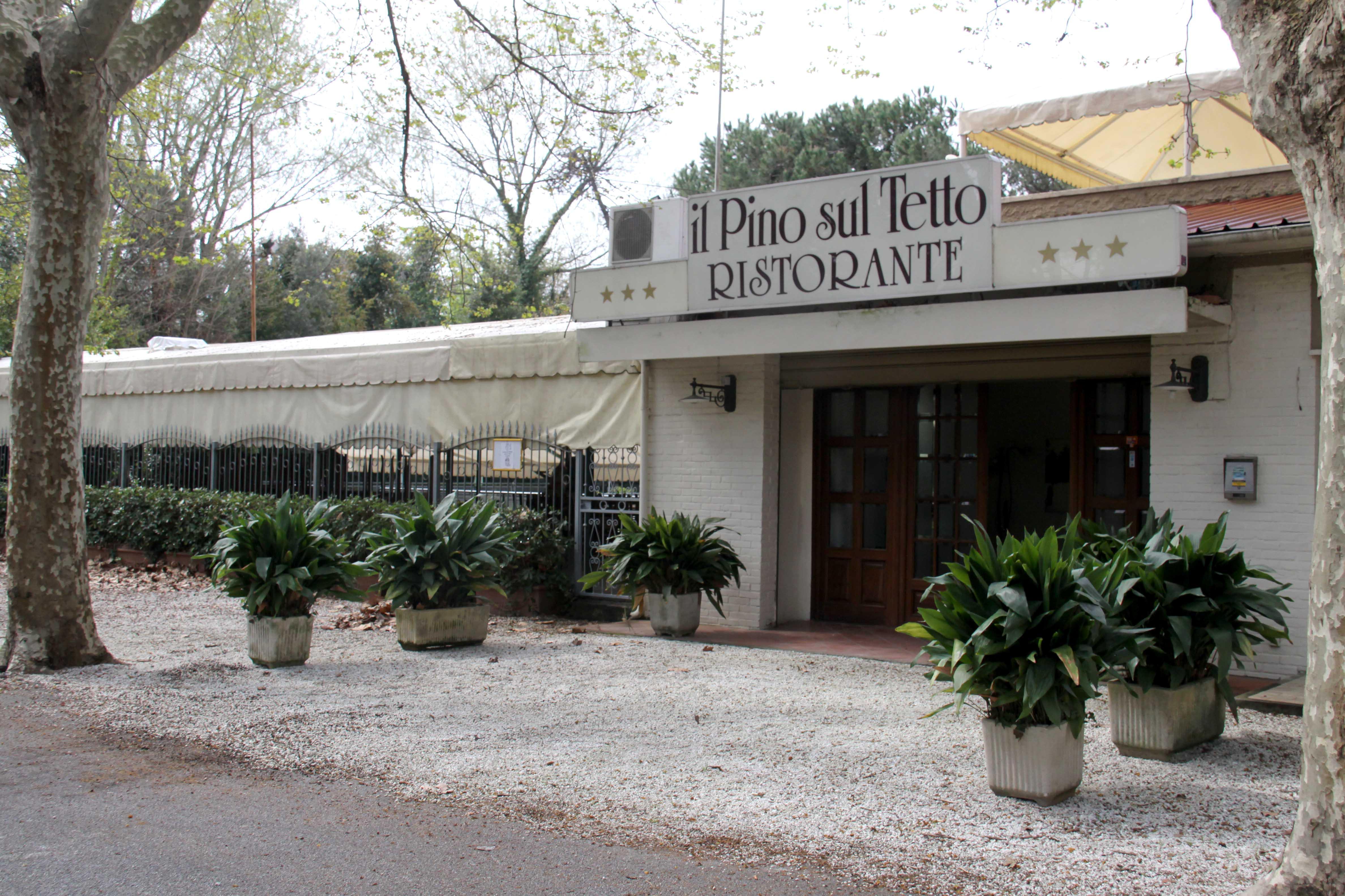 Il Pino sul Tetto