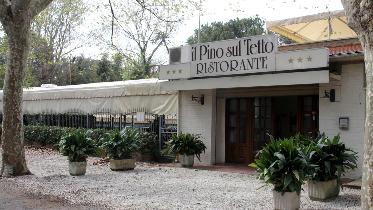 Il Pino sul Tetto
