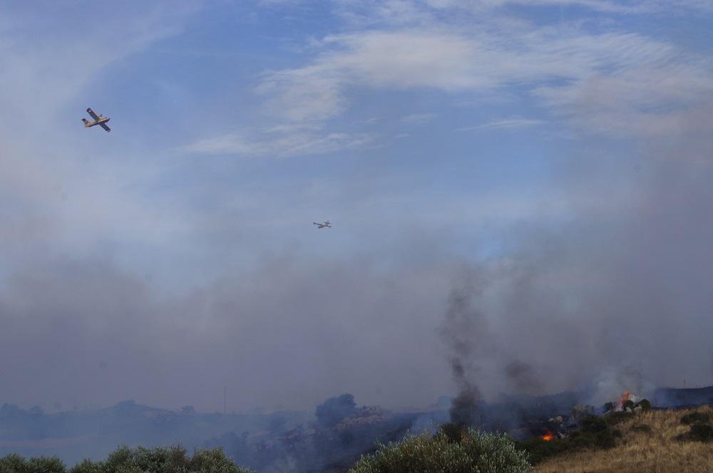 Il fuoco ha devastato decine di ettari tra Luras e Luogosanto  