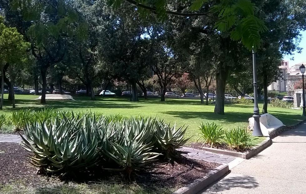 Risistemati parchi e giardini nel centro storico e a Fertilia