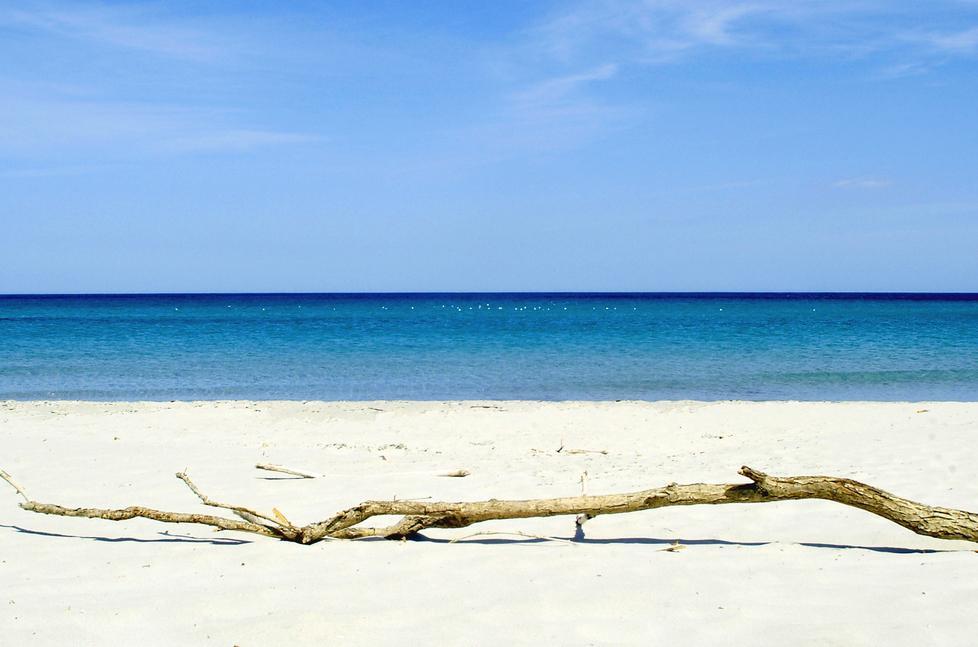 L'isola delle vacanze: pioggia di critiche sulla Sardegna nelle lettere dei turisti 