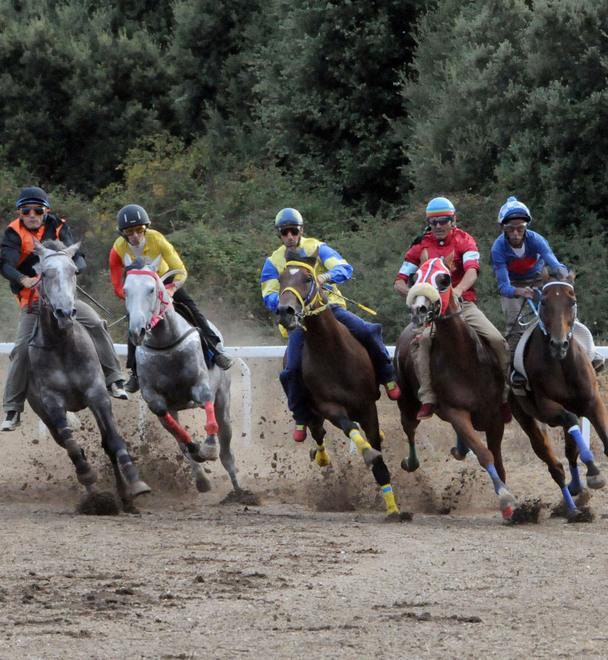 Palio dell’Assunta, vittoria di Ruiu 