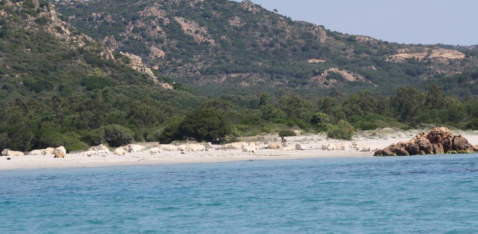 Parco delle Baronie la vecchia ipotesi riparte da Siniscola 