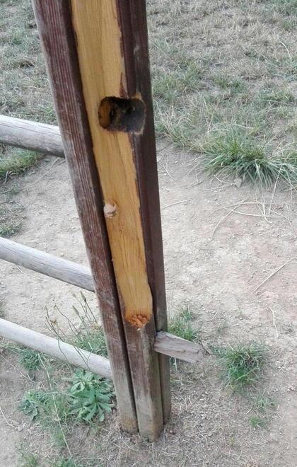 «Degrado al parco del Villone» 