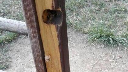 «Degrado al parco del Villone»
