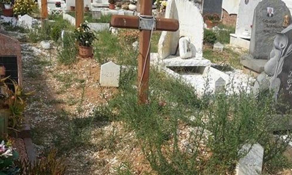 Degrado ed erbacce al cimitero