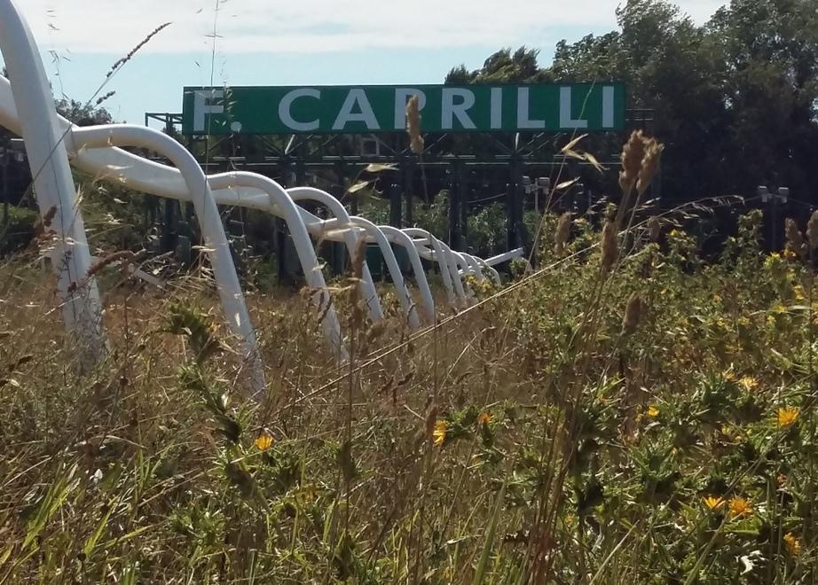 Per il Comune l’ippodromo è ok Alfea pronta a tornare dal giudice 