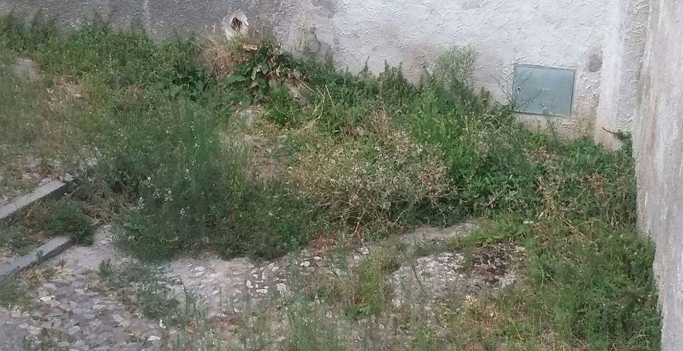 Una discarica urbana in una casa abbandonata 
