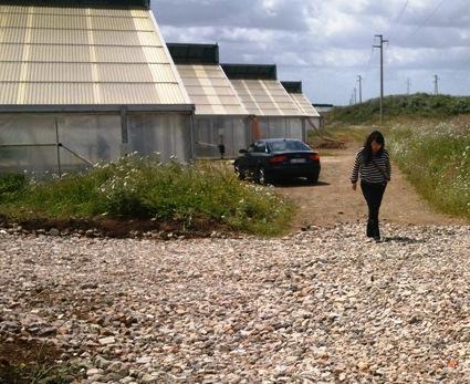 Bilancio, sotto accusa la parcella da 40mila euro 