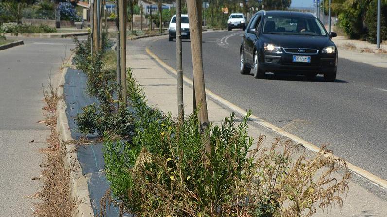 Nella pineta il dopo festa è un tappeto di rifiuti