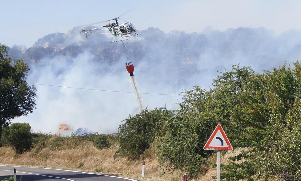 Incendio doloso, bruciano 300 ettari 