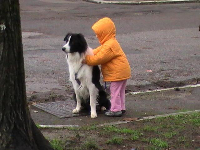 Cani e bambini, dieci regole da osservare per evitare rischi