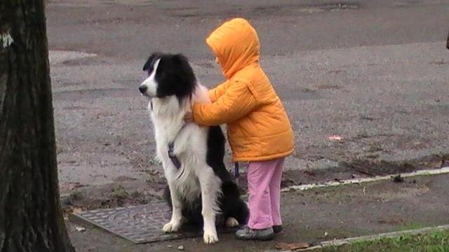 Cani e bambini, dieci regole da osservare per evitare rischi