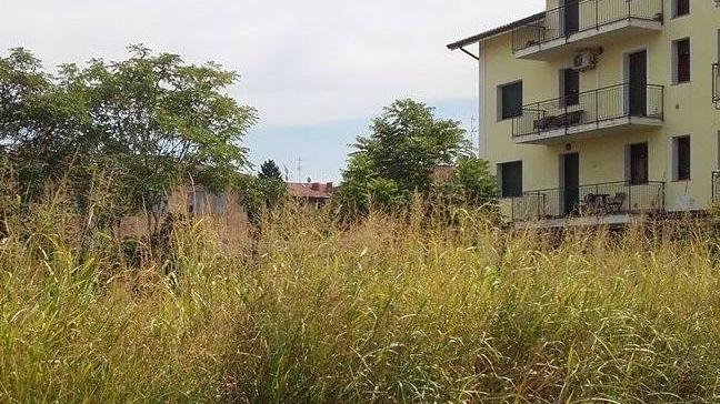 Camposanto, va alla festa di quartiere e i ladri gli vuotano casa