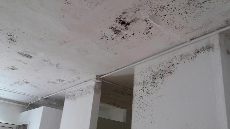 Infiltrazioni d’acqua dal tetto all’impianto di Chiesina Montalese